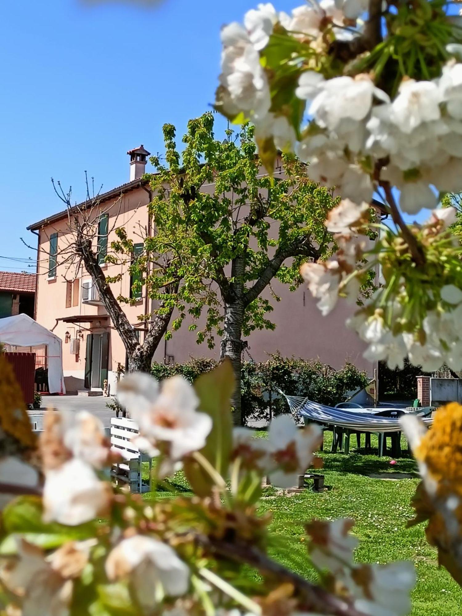 La Casa Della Nonna Bed & Breakfast Brisighella Exterior photo